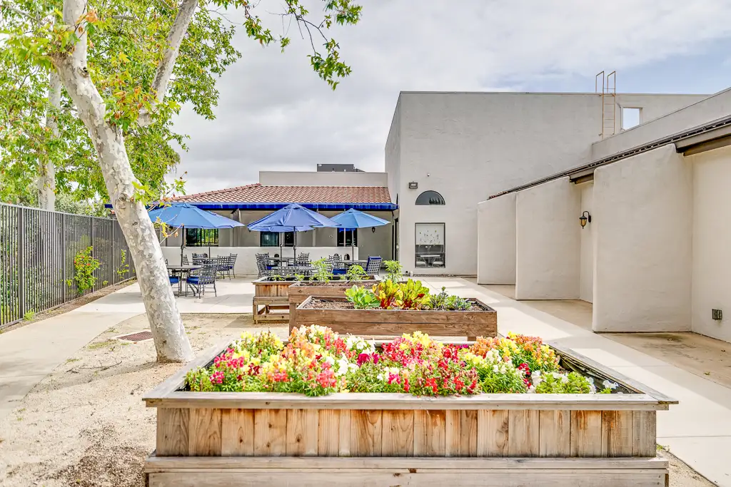 Courtyard Garden Courtyard Garden