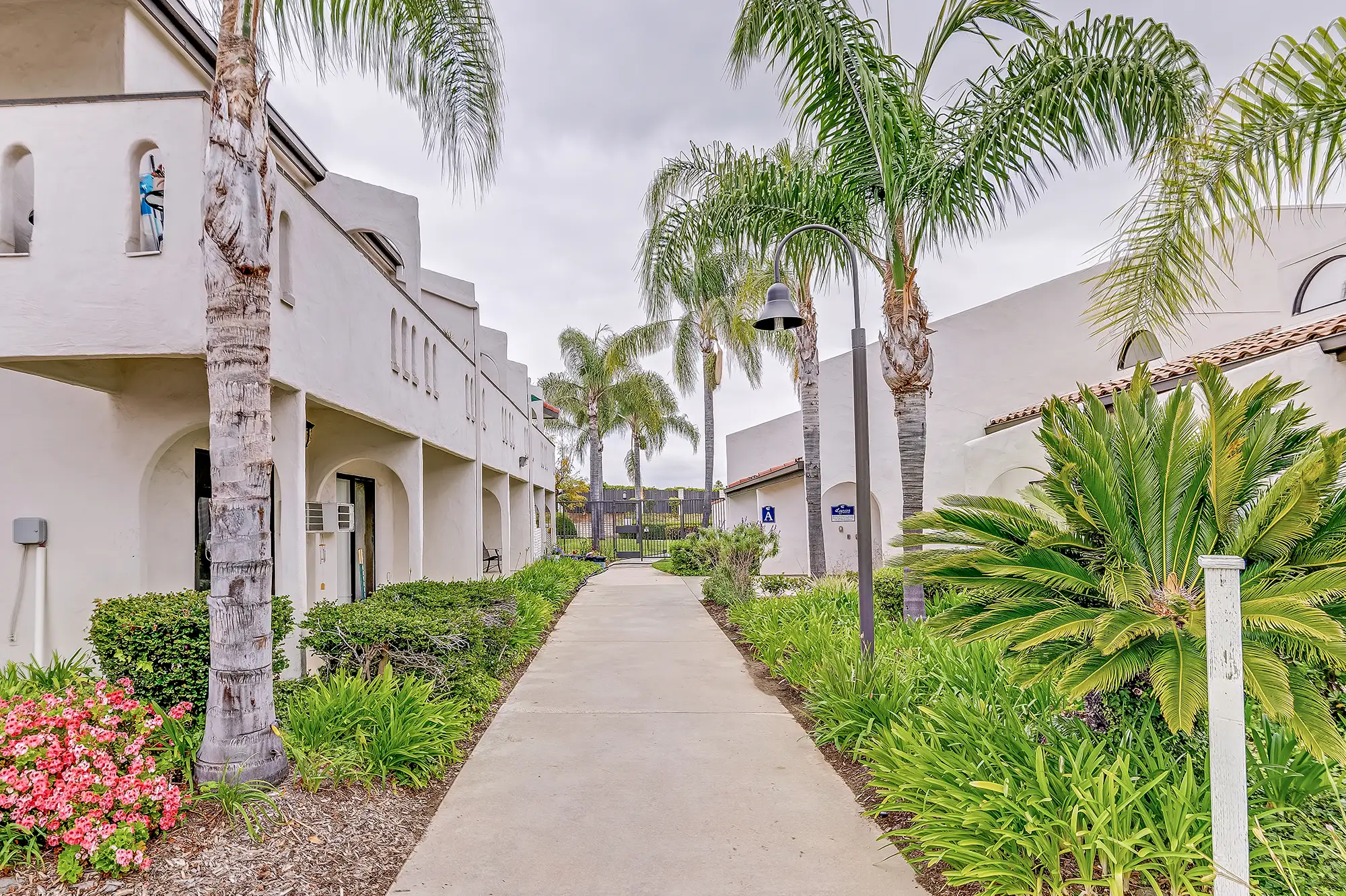 Beautiful view of the mountains near Meridian San Marcos