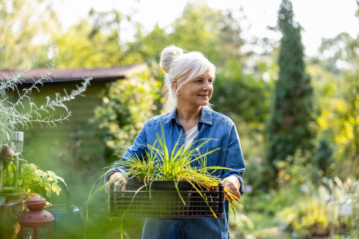 Senior woman working in her garden on a sunny day independent living in Vista